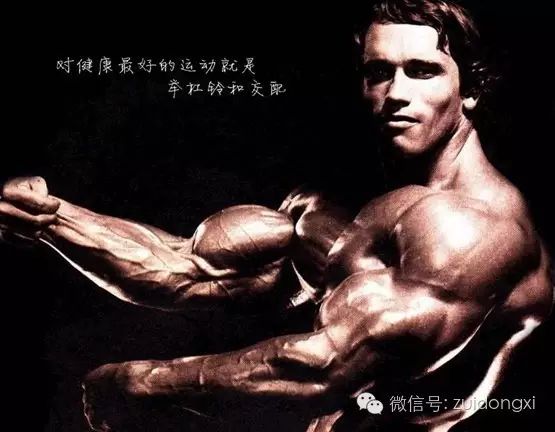 健身出名的明星_明星是怎么健身的_健身明星是谁